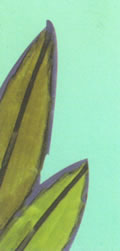 JoseCarcel_-_Detalle