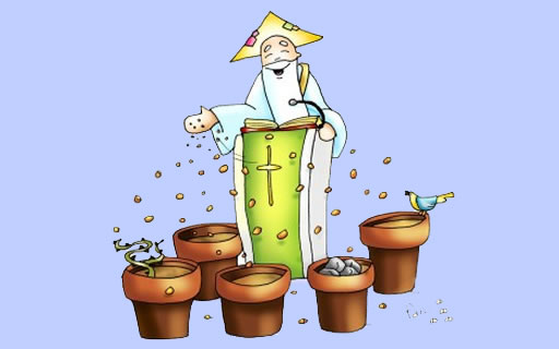 Evangelio del día: Explicación de la parábola del sembrador