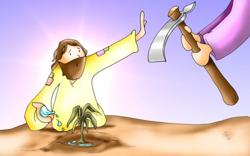 Evangelio del día: La higuera estéril