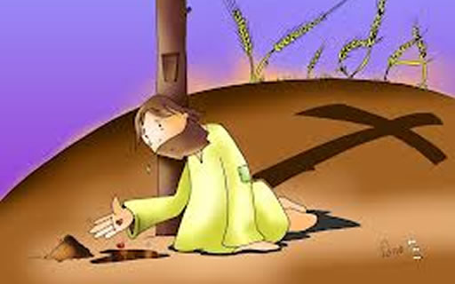 Evangelio del día: El grano de mostaza